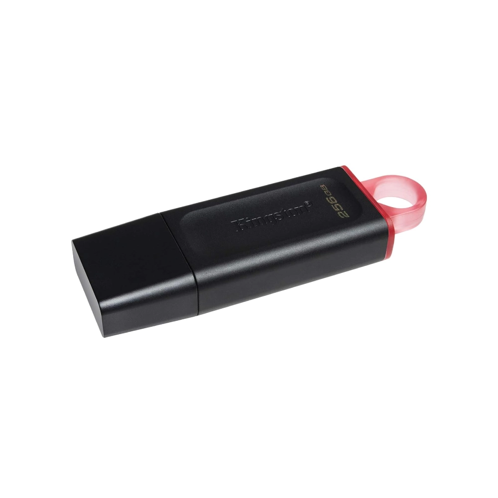 Kingston DTX 256GB USB 3.2 Pendrive view 3